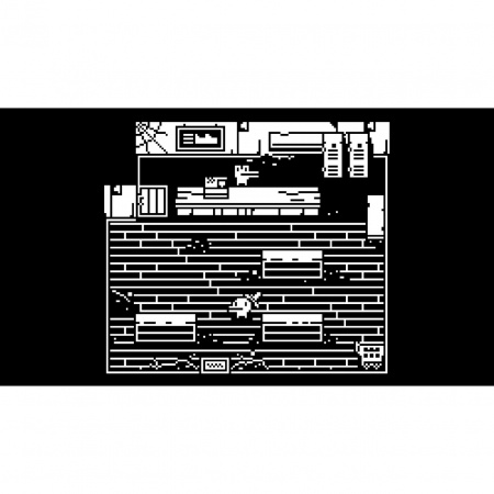image 00004