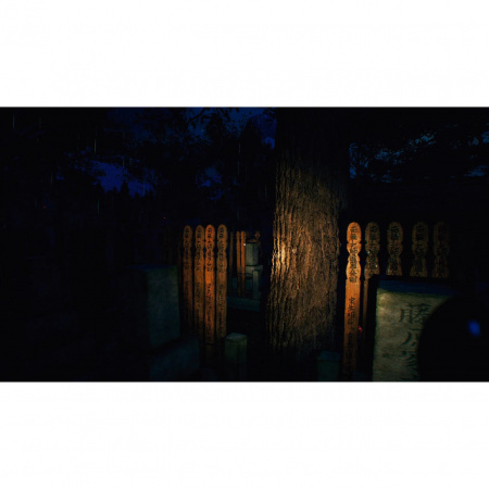 image 00003