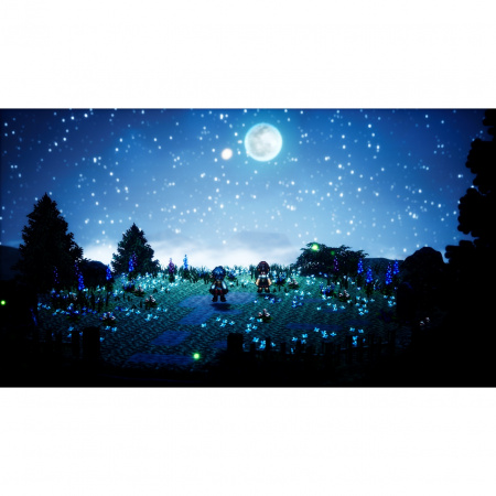 image 00007