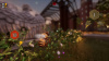 Image00007
