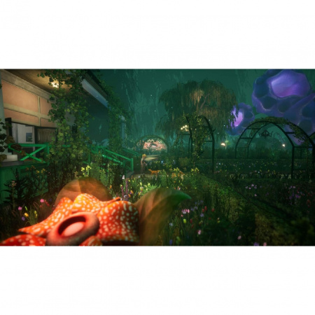 image 00008