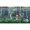 image 00002