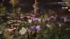Image00008
