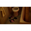 image 00007