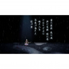 image 00005
