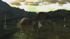 Image00015