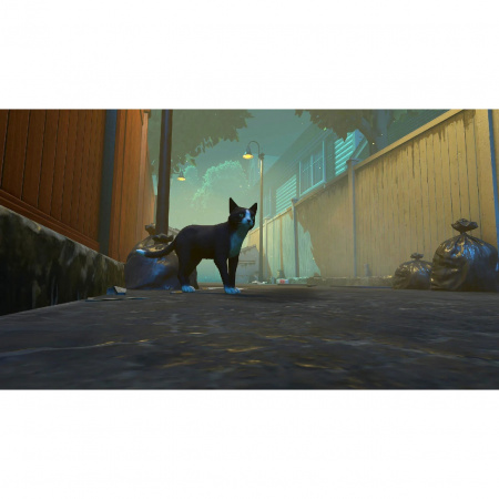 image 00001