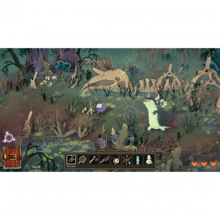 Image00010