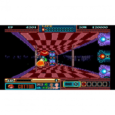 Image00005