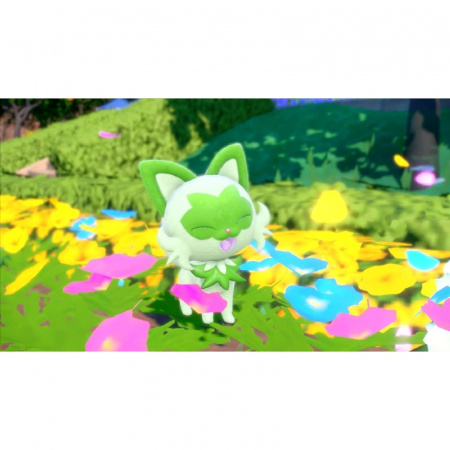 Image00008