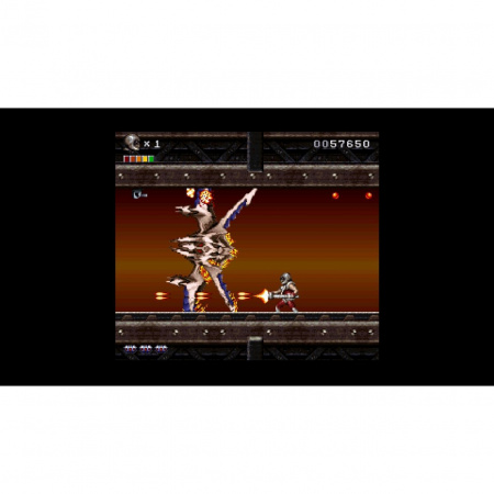 image 00003