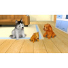 Image00003