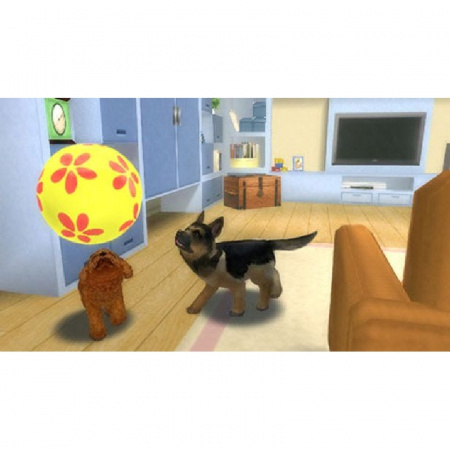 Image00002