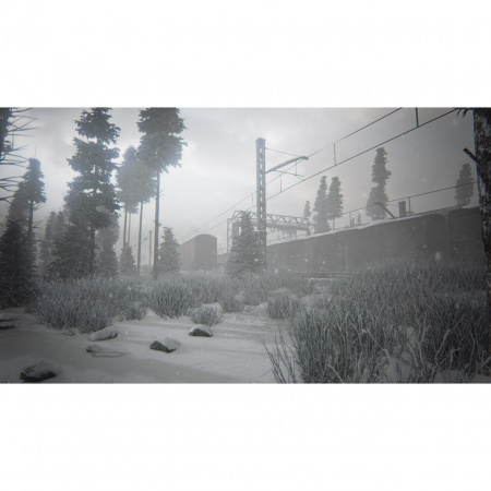Image00006