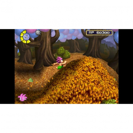 image 00004