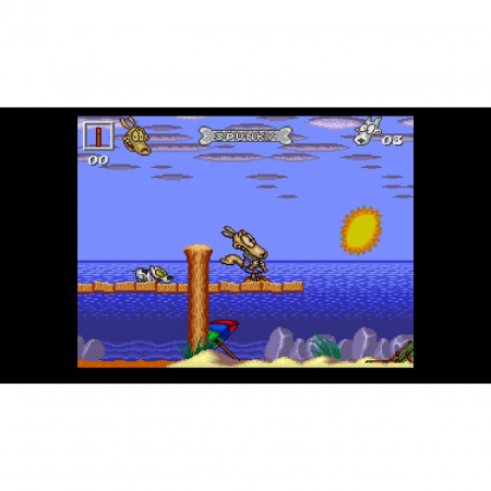 image 00005