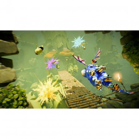 image 00003
