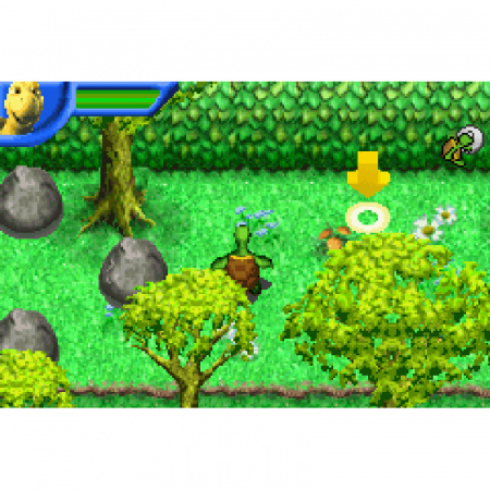 Image00008