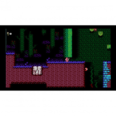 image 00010