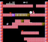 duck_2