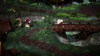 image 00011