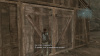 Image00007