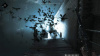 Image00003