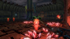Image00003