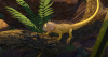 Image00004