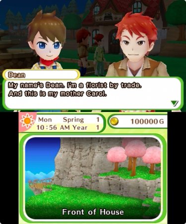 3DS_HarvestMoonSkytreeVillage_enGB_04+