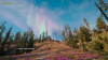 Image00002