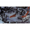 image 00006
