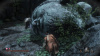 Image00009
