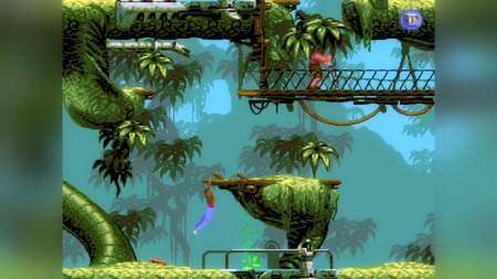 Image00005