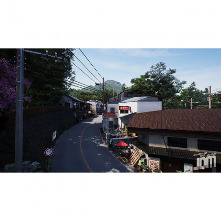 image 00006